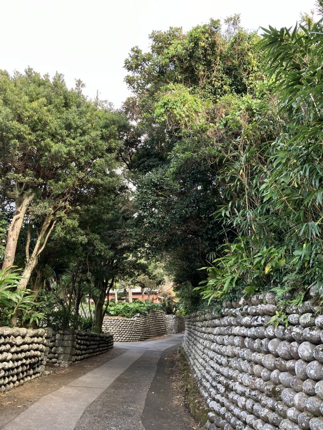 移住者インタビュー 島のゆるやかな時間を楽しんでほしいなって思うんです – 新島・式根島の移住・定住ポータルサイト『Flowlife』