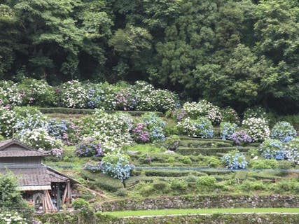 ツーリストプラザ鹿児島宮崎ツアーサービス