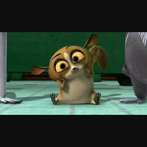 モート・マダガスカル：動物のグローバルな旅