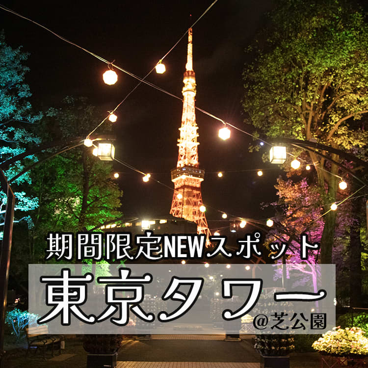 5 11 土期間限定！5月の絶景！最強フォトジェニックなバラ×東京タワー♡景色を楽しむビューデートお散歩コン♪