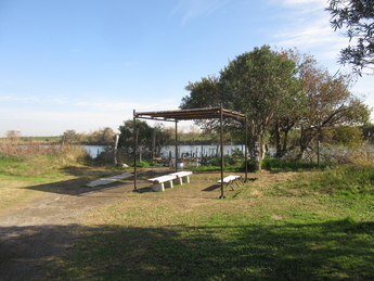 柴又で矢切の渡しに乗船！ 「都留詩織のきもので下町おでかけ帖」vol.4KIMONOBIJIN - 着物・伝統文化コミュニティメディア