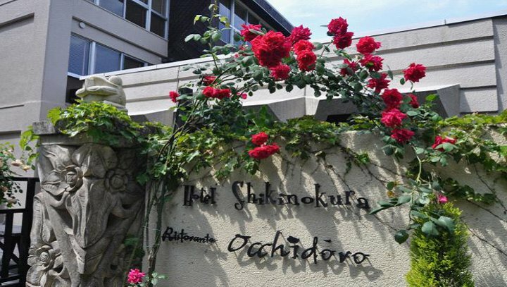 河津桜観光交流館周辺×いま最も売れている宿 高級ホテル・旅館 - 宿泊予約は 一休.com