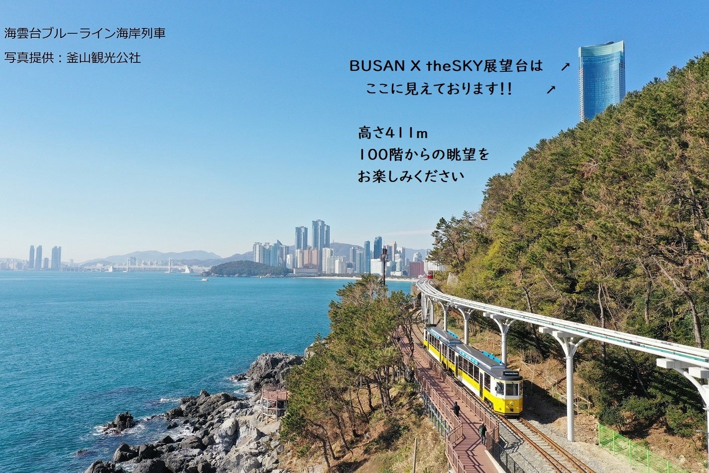 ブルーラインパーク・スカイカプセルを楽しめる釜山日帰りツアー - Local Treasures