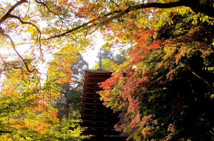 奈良県の桜井・三輪・山の辺の道でおすすめしたい人観光スポット6選 – skyticket 観光ガイド