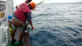 野村実代 - エケペディア