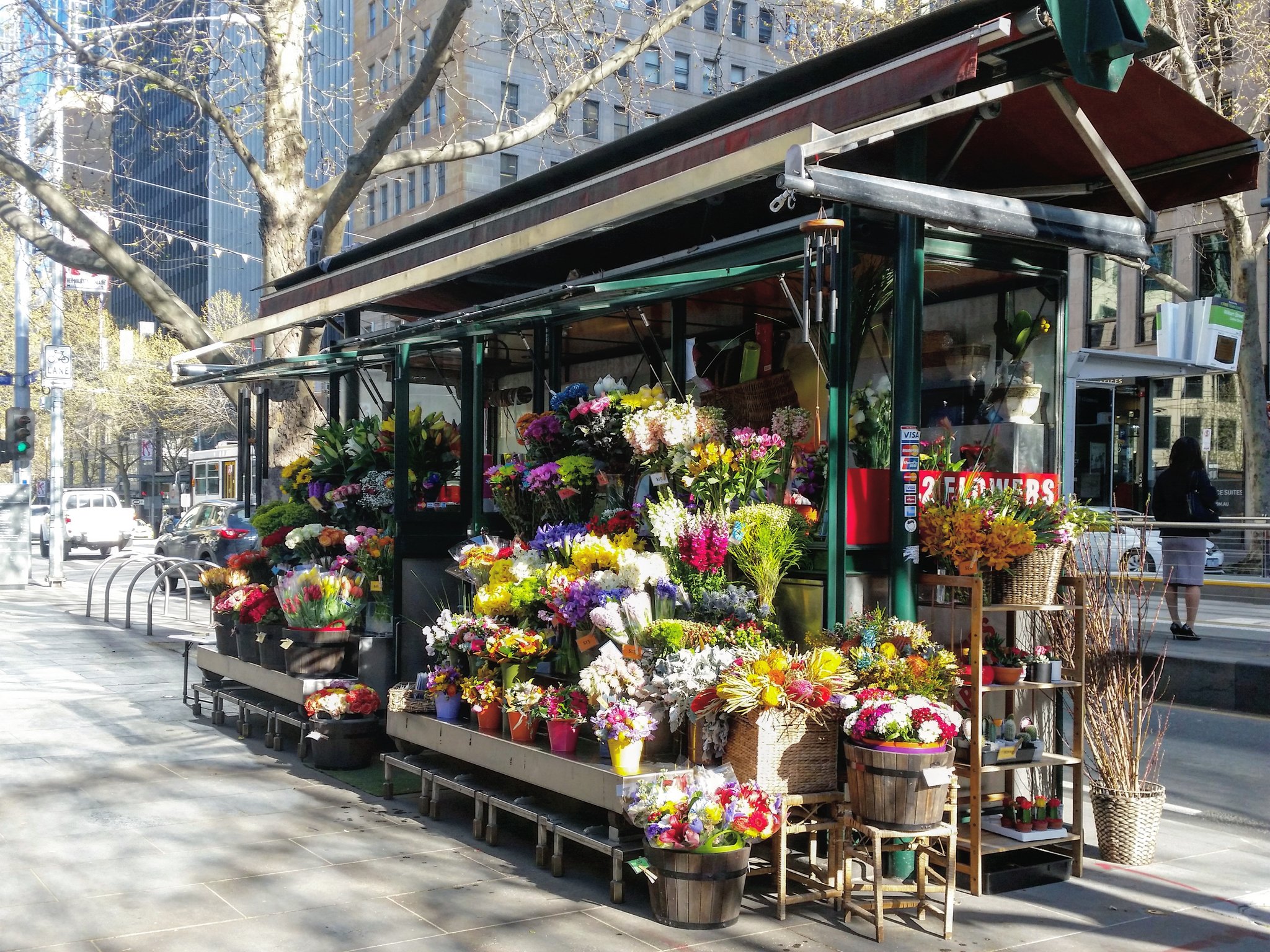 花をアメリカへ海外発送：お花を海外配達するフラワーギフトショップ・花屋『フラワーメッセンジャー』 鉢植え