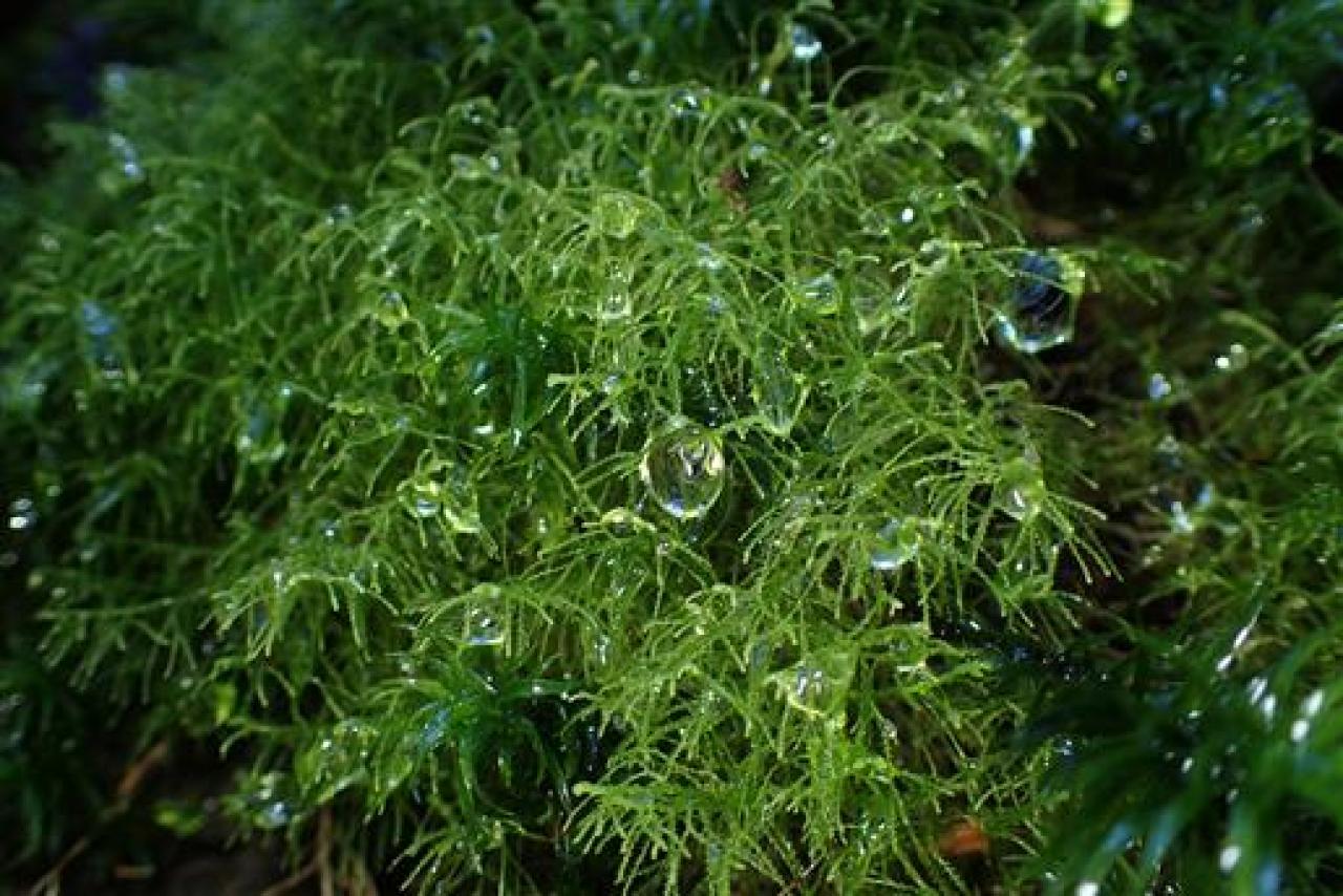 Sunny Spot 天気・気象情報サイト!TOPICS