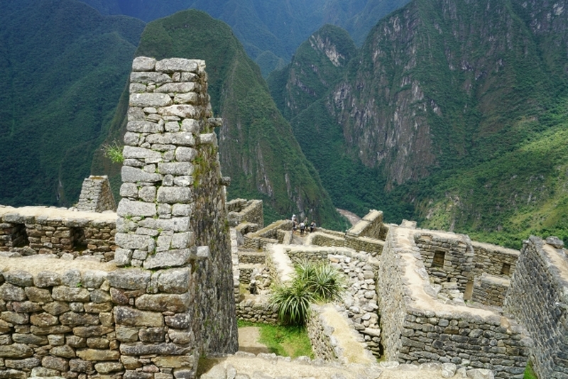 ジャーナルディスカバー・ニッケイ