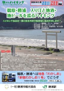 シーグラスと陶片がいっぱい！タカラガイも！勝浦中央海水浴場でビーチコーミングny0l0n