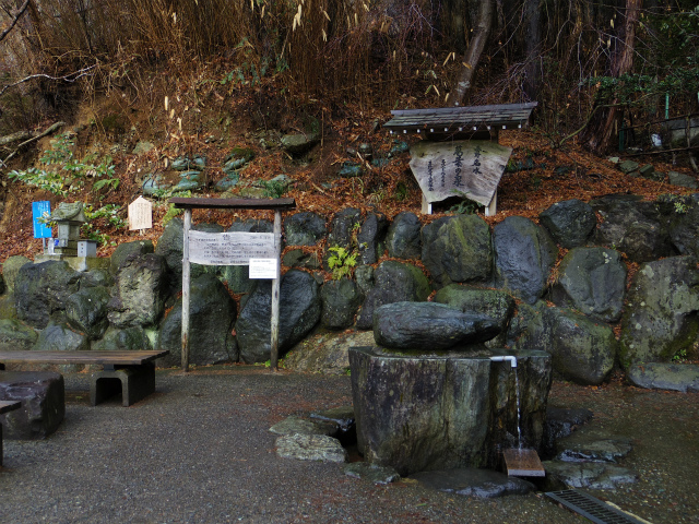 はだくるEp2 名水と森林セラピー 秦野癒し旅 SURUGA