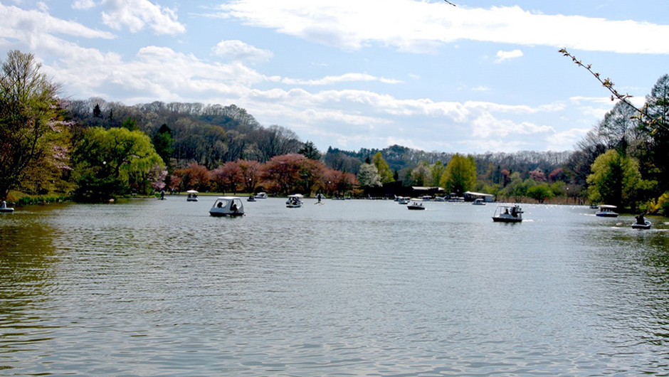 地元民が厳選 軽井沢エリアの子連れ旅行におすすめの観光スポット24選！モデルコースも - あさま空山望