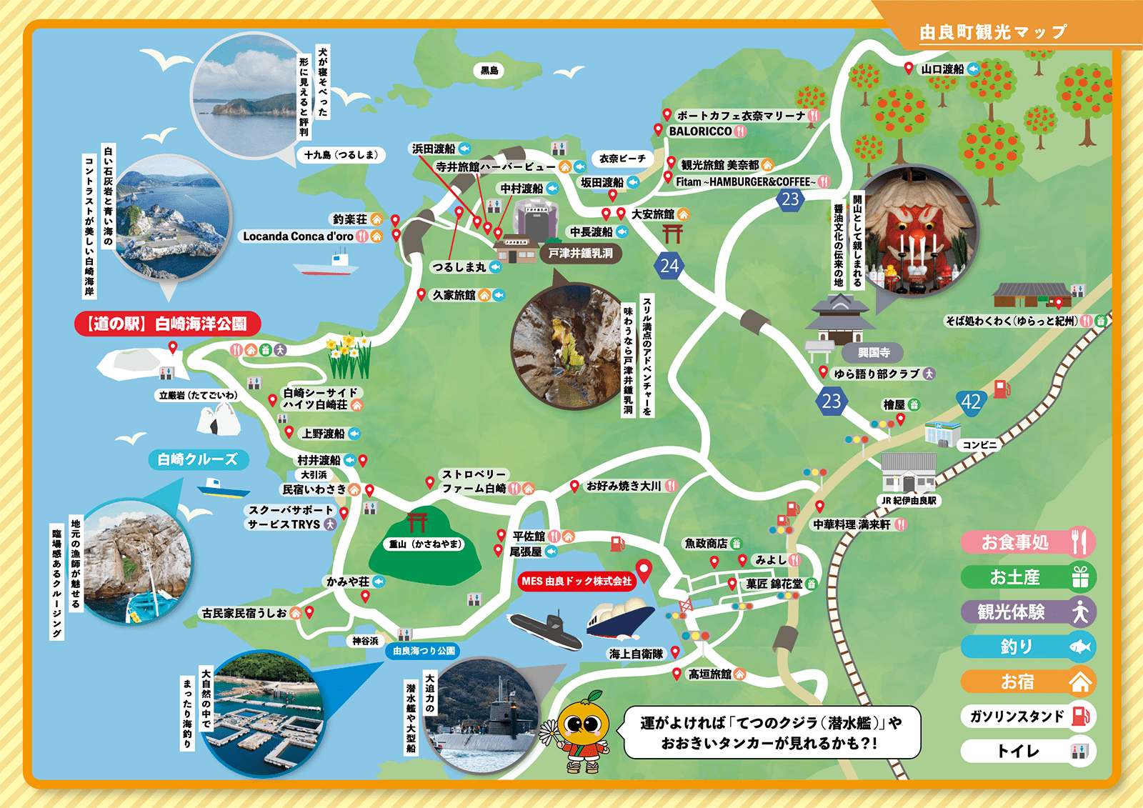 和歌山「道の駅 白崎海洋公園オートキャンプ場」インタビューアクティビティジャパン