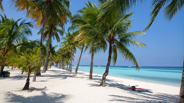 セブ島親子留学完全ガイド20251歳半から参加可能・セブ4校比較グローバルエデュ 海外進学ラボ