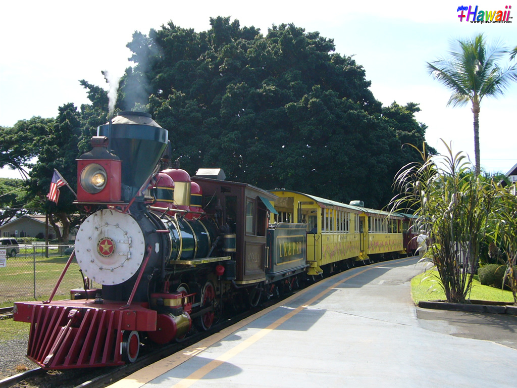 サトウキビ列車に乗ってきたよハワイ・コンドミニアム通信ヘアヘアハワイワイキキのおすすめ人気格安コンドミニアムレンタル予約