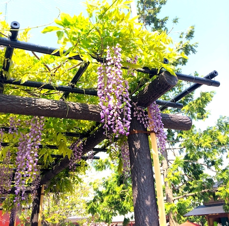 東京・浅草 座って休める無料の休憩スポットまとめてご紹介！浅草ウォーカ