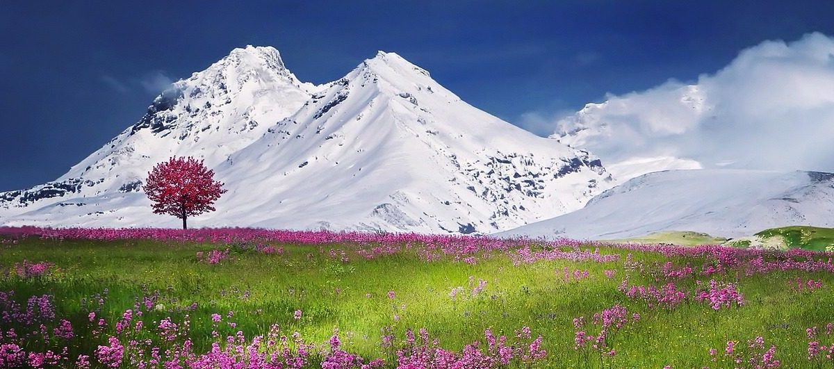 お散歩」は英語でなんて言う？基本表現から犬の散歩まで例文つきで徹底解説