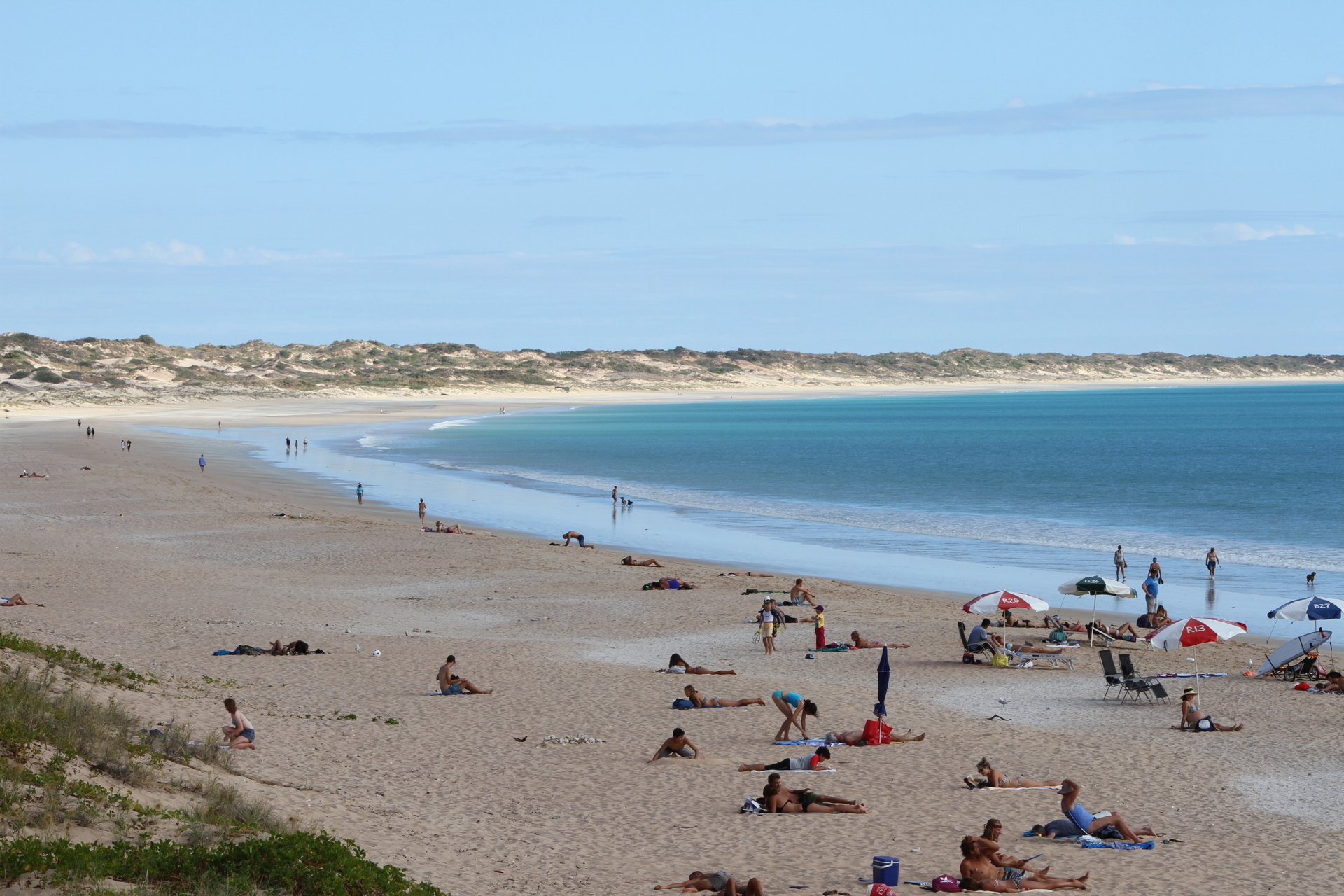 オーストラリア西海岸の人馴れした 観光客ズレした？ 海辺の生物』西オーストラリア州 オーストラリア