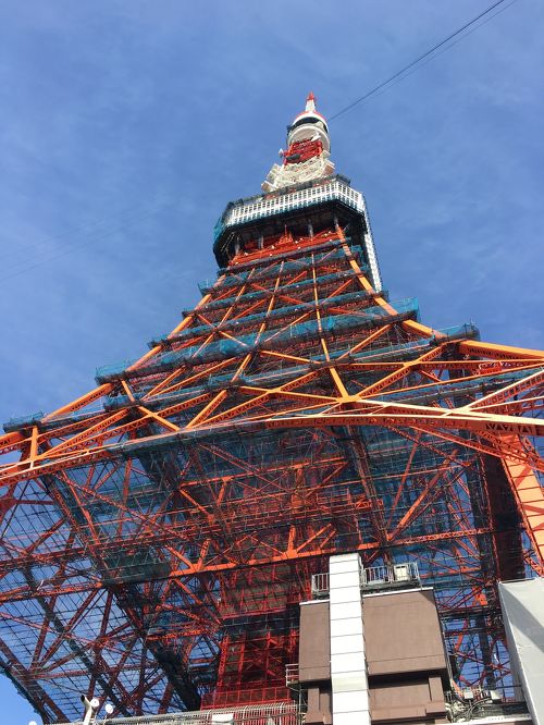 東京タワーと東京スカイツリーをダブル観賞！夜景スポット12選