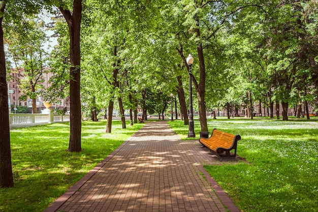 パリのベンチパリの文化・歴史パリの歴史・文化パリ観光サイト「パリラマ Paris-rama」