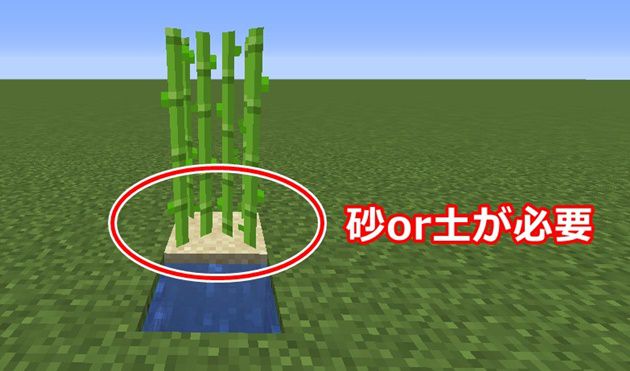 Minecraft サトウキビ畑を作る Season