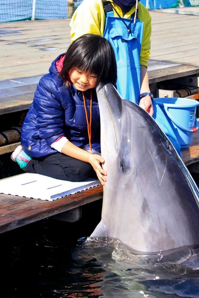 天草パールガーデン&海中水族館シードーナツ＞天草の魅力が詰まった観光スポット天草のおすすめ観光・レジャースポットなら旅色