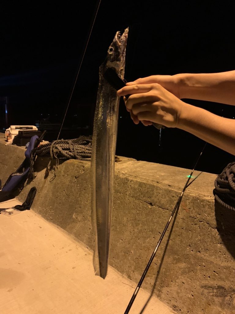 熊本アジングポイントまとめ！アジが良く釣れる人気スポットを紹介九州釣り天国