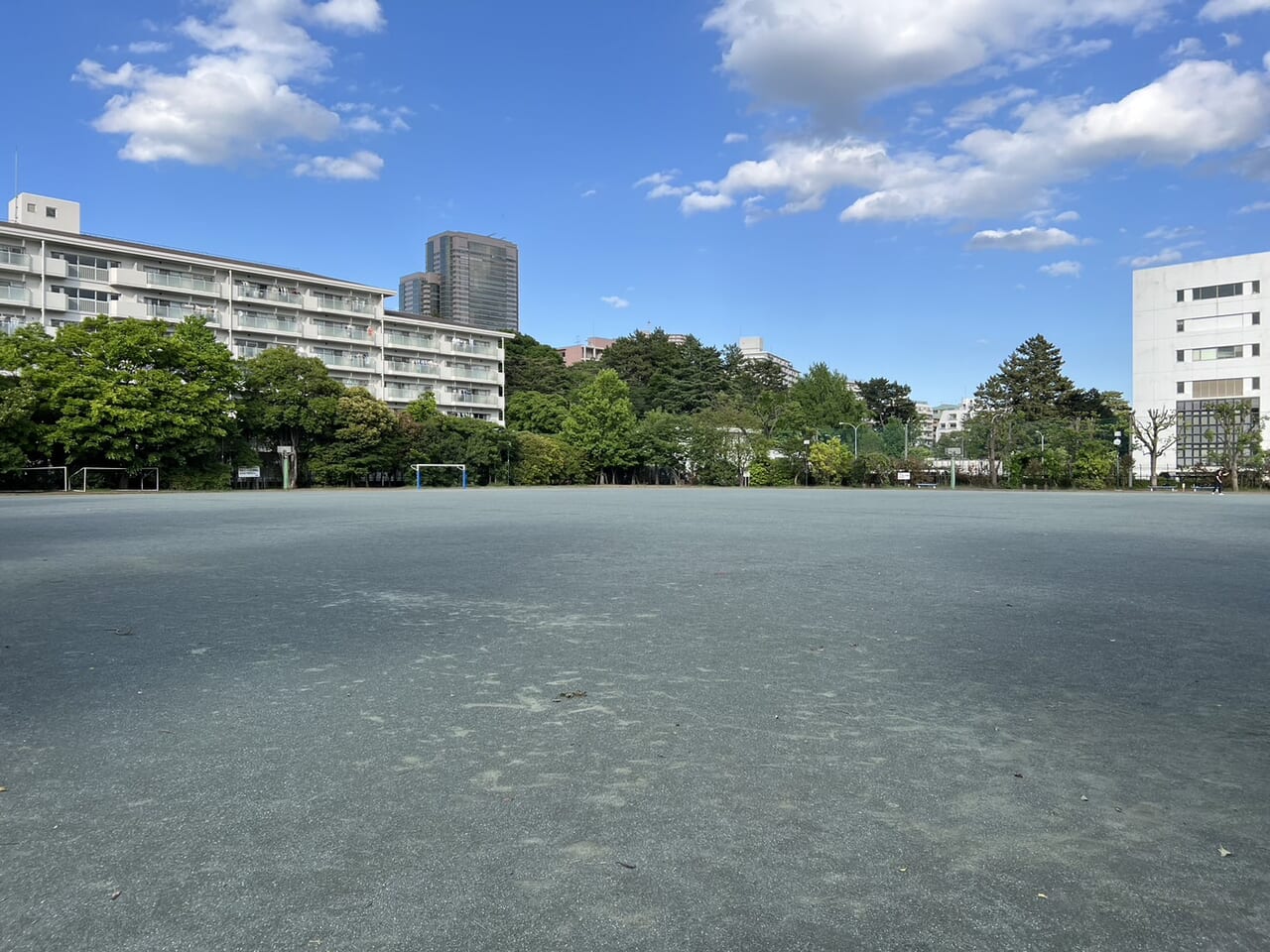 プレマルシェ・ジェラテリア中目黒駅前店こんにちは！ ようやく秋の深まりを感じられるようになってきましたね☺️ 本日は明日開催のイベントのお知らせです☝️🍁東京ビーガングルメ祭り2024秋🍁