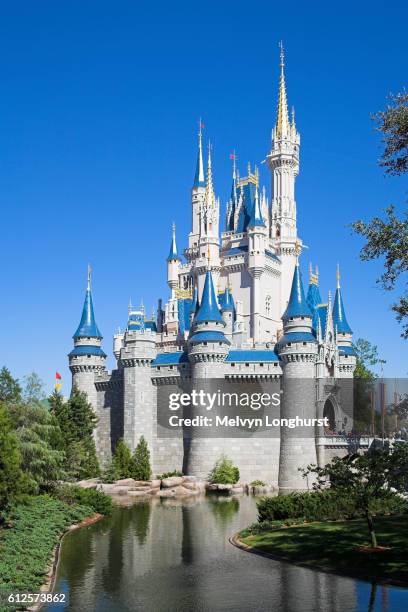 東京ディズニーランド シンデレラ城 35周年 キャッスルフォアコート -