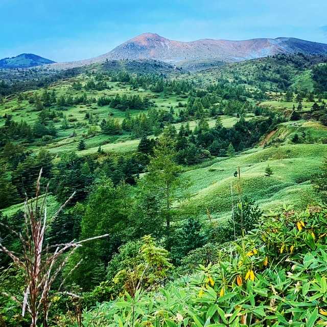 大人のBC＠芳ヶ平 Day-1- 土と雪と: