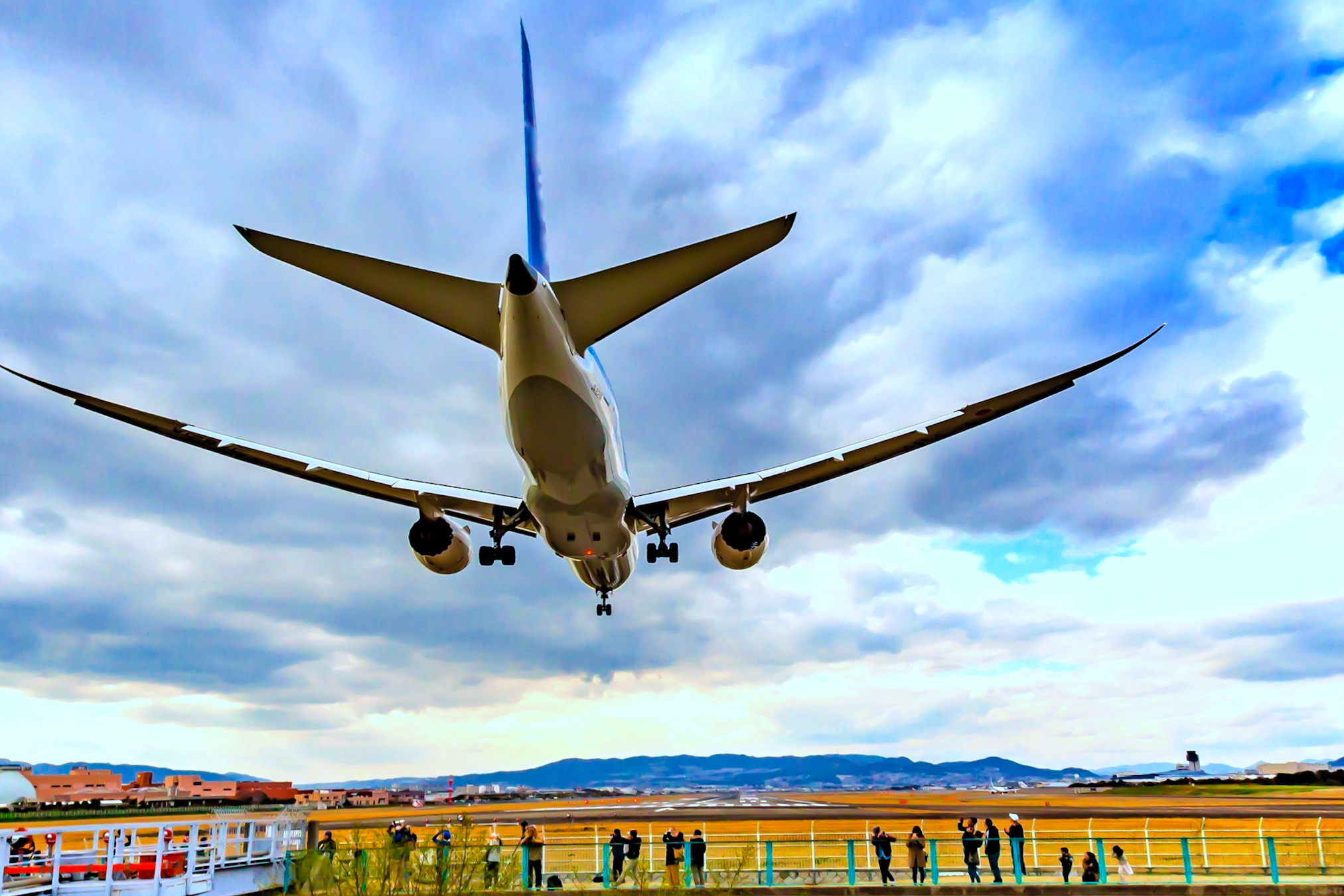 巨体が舞い降りる光景に感動!? 「千里川土手」にバイクで行ってみたバイクのニュース
