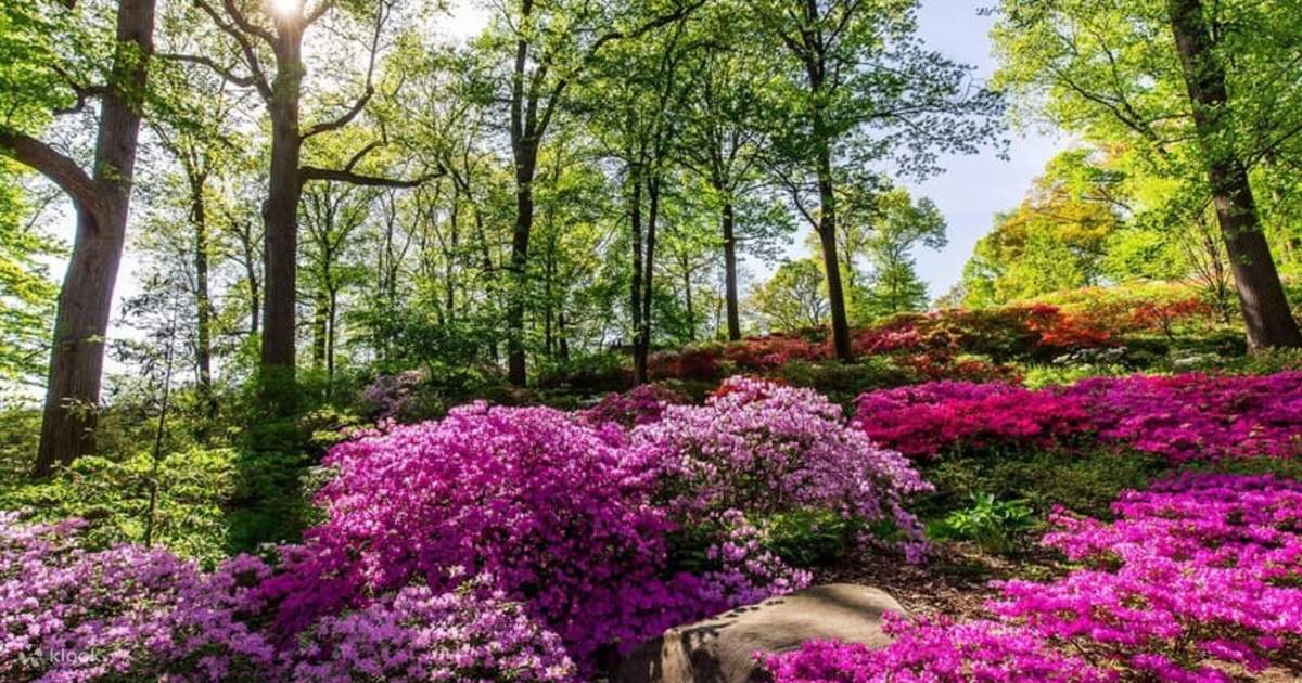 ニューヨークニューヨーク植物園入場券シティ・エクスペリエンス