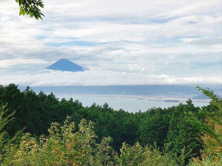 だるま山高原キャンプ場 ハローナビしずおか 静岡県観光情報