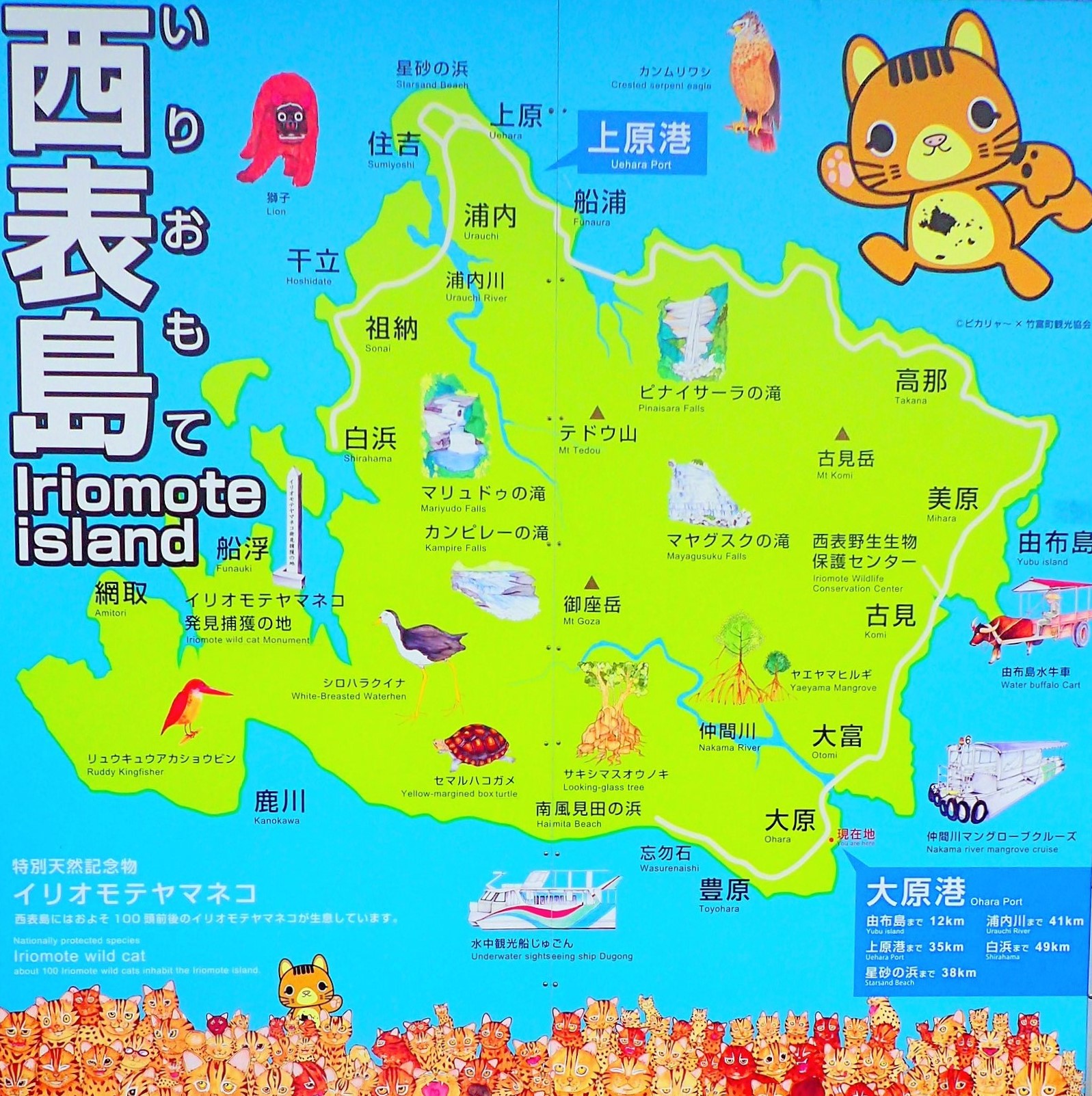 西表島おすすめ観光スポット10選