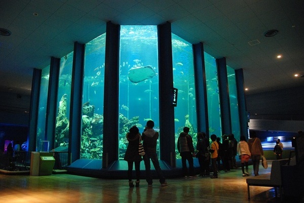 静岡デートにおすすめのスポット16選！カップル向けデートコースも紹介Selady セレディ