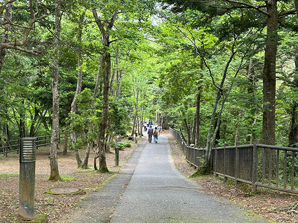 最新 清水渓流広場 -