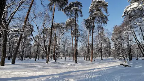 Branicki Palace, Białystok ビャウィストク中