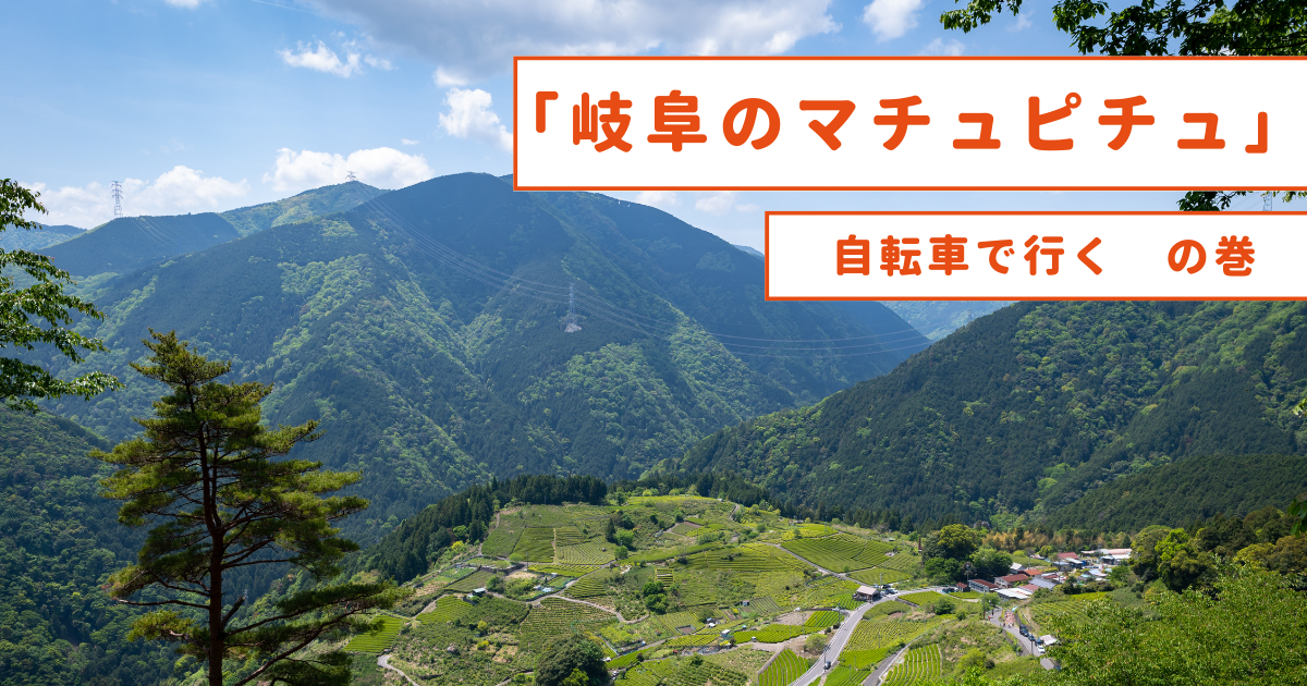 天空の茶畑「岐阜のマチュピチュ」ってどんなところ？ 山登りの先に絶景あり！行き方や注意点を現地ルポTABIZINE～人生に旅心を～