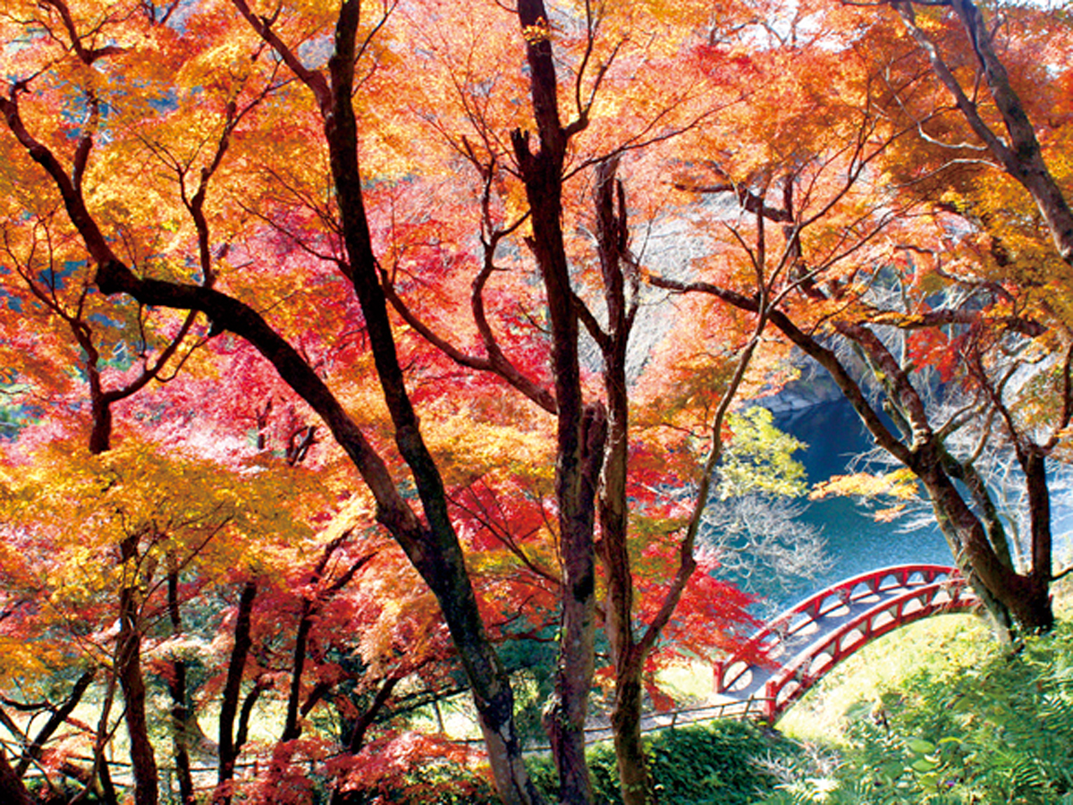 桜淵公園：新城市