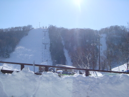 志賀高原 寺小屋、高天ヶ原マンモス、タンネの森オコジョSkiGuideJapan