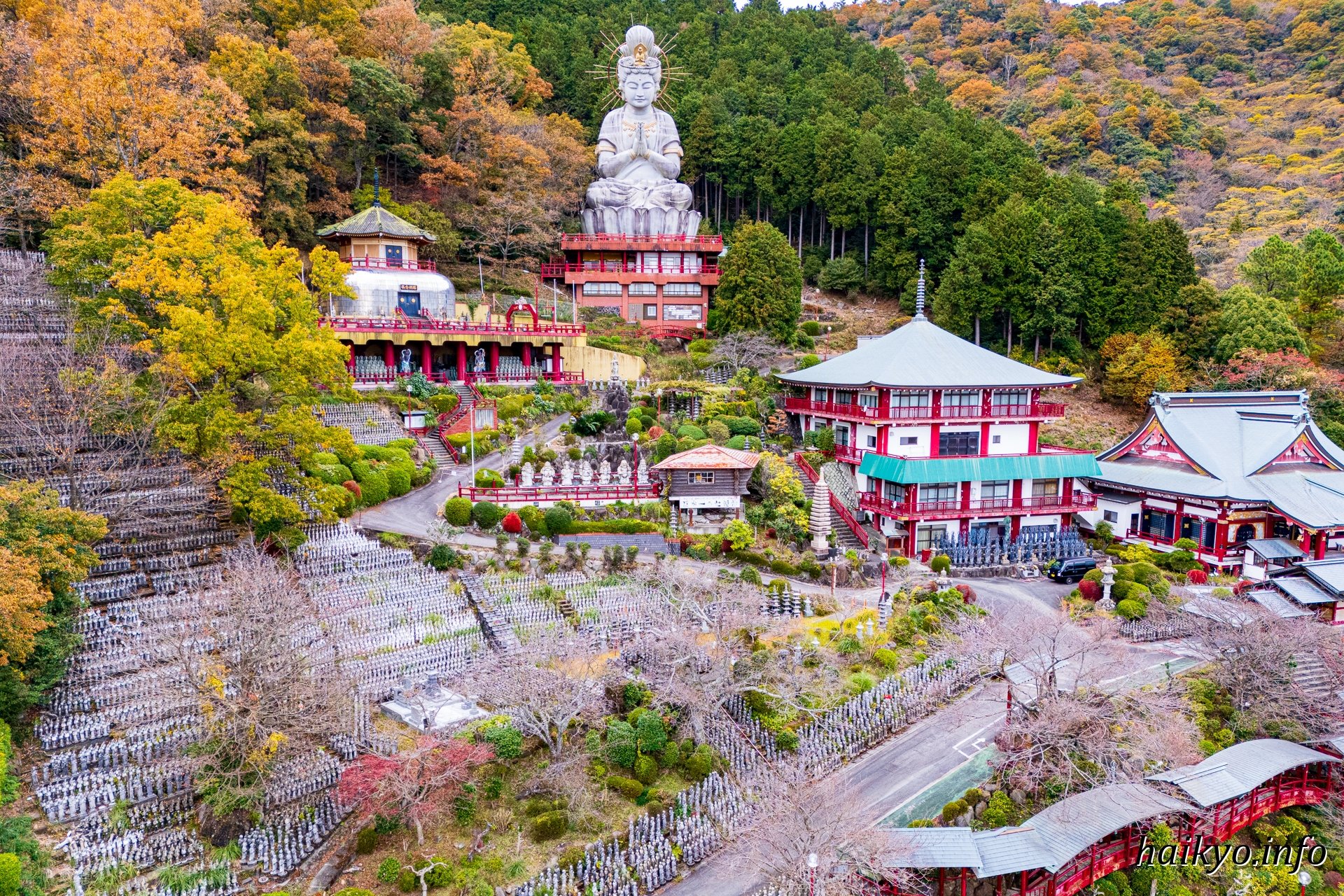 掛け軸 うさみ観音寺山主大僧正『寿福 二字書』仏書 紙本