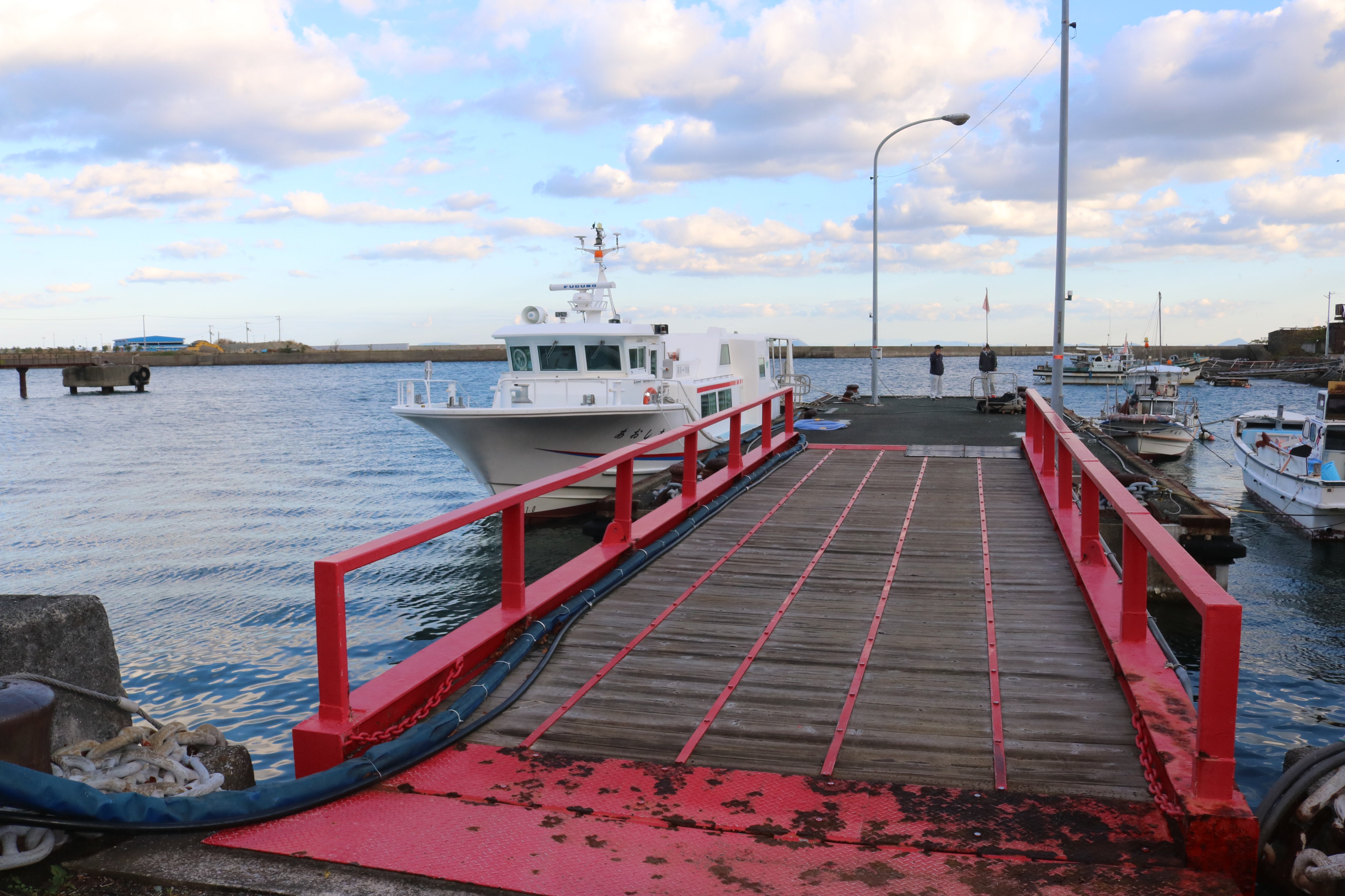青島国際クルーズ船港の正式オープンが認可_人民中国