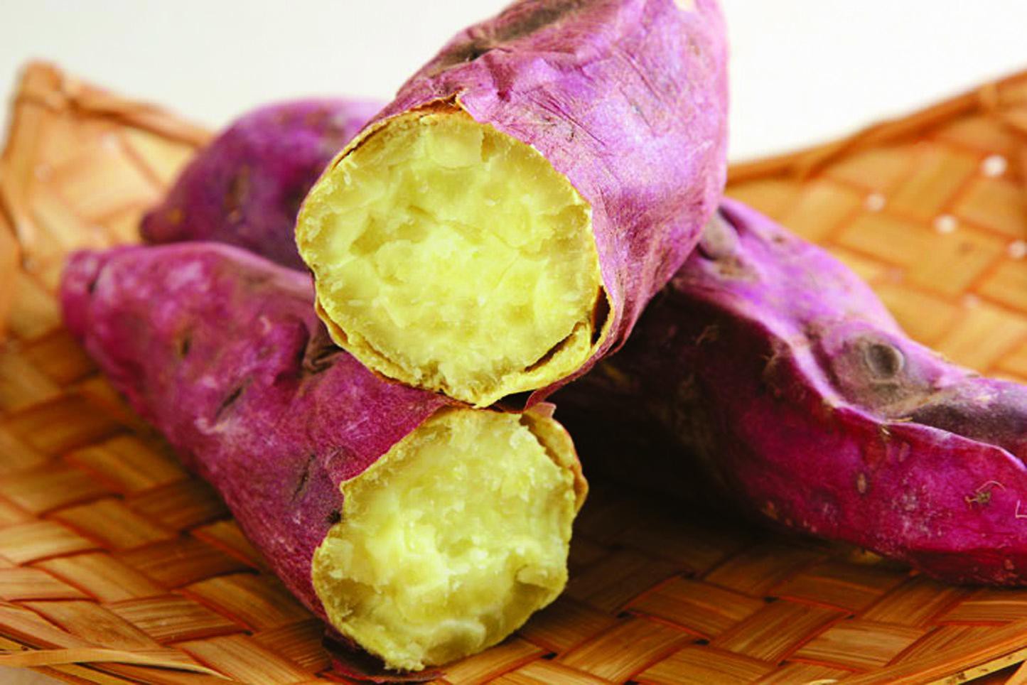 福井県のお土産ランキング＜独自調査＞ 恐竜博物館の人気商品や名物お菓子など24選もTABIZINE～人生に旅心を～