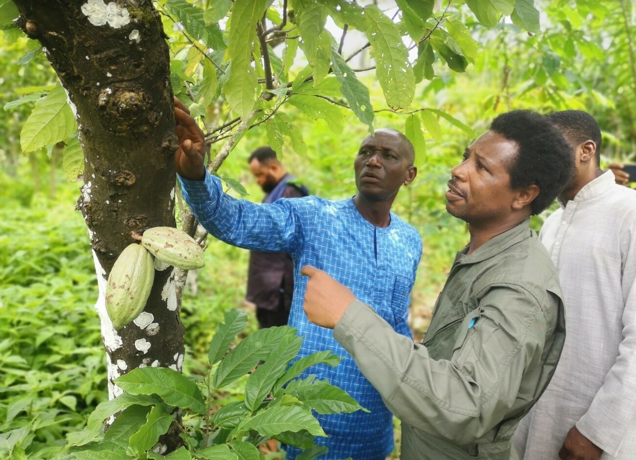 家族支えるため」ケニアの茶畑で働く子どもたち 植民地時代から続く構図：朝日新聞GLOBE＋