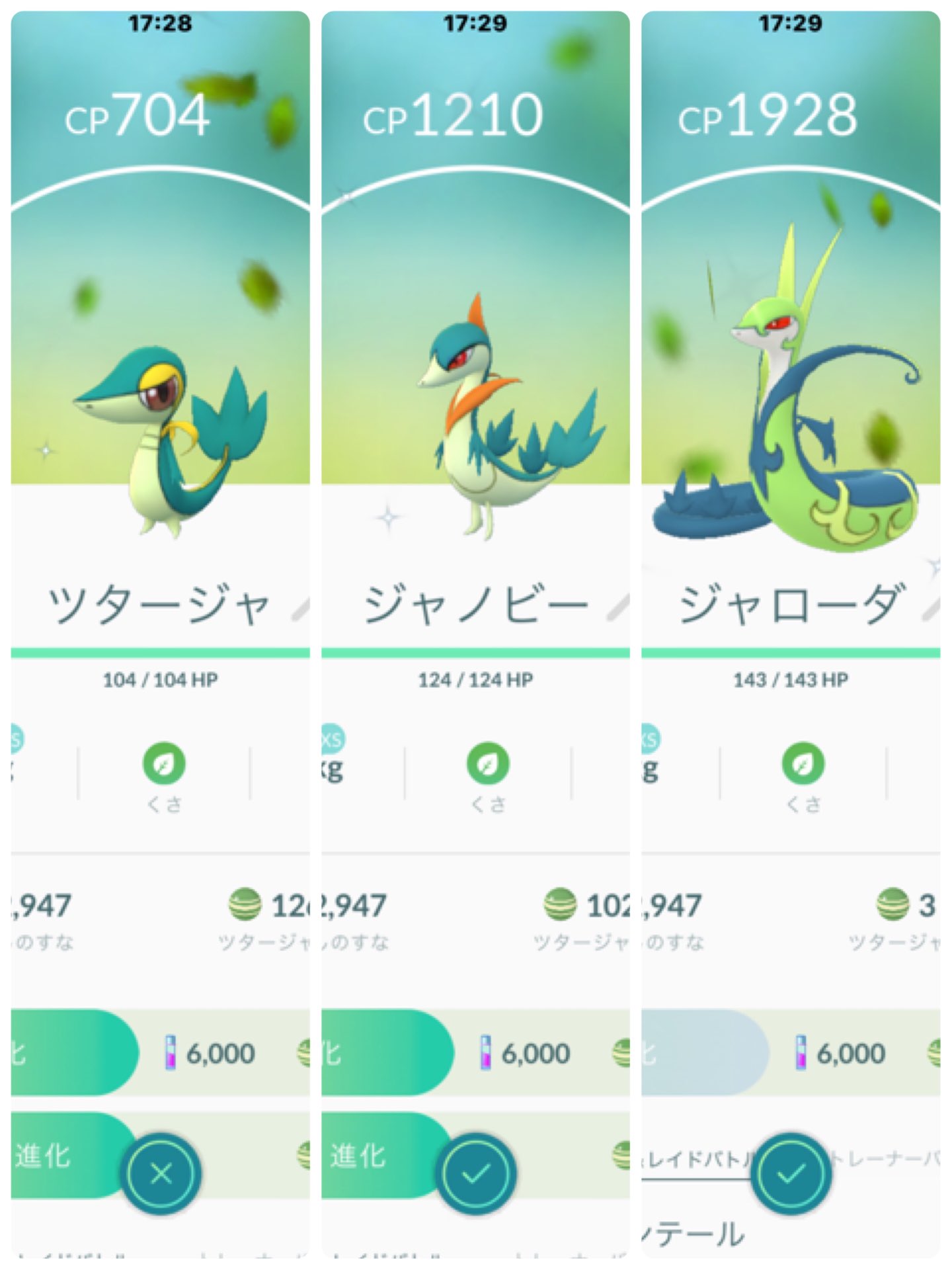 ポケモンカード ツタージャ ジャノビー 進化ライン HSZ