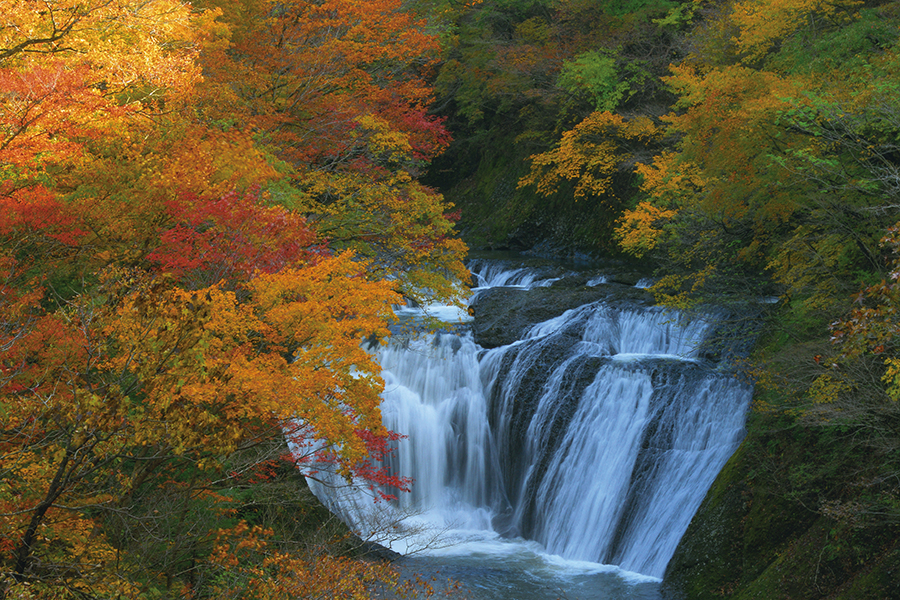 永源寺 もみじ寺 の周辺スポット・アクセス・口コミ