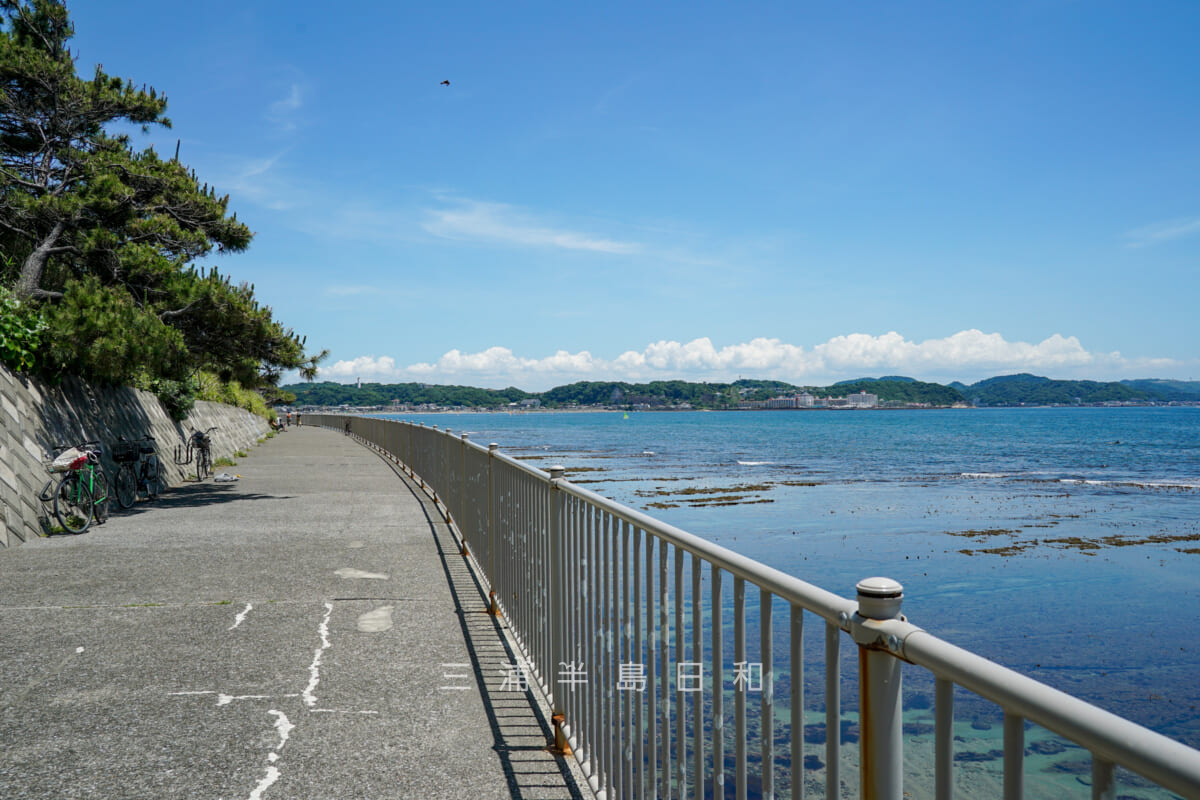 湘南・鎌倉の初日の出 おすすめランキング