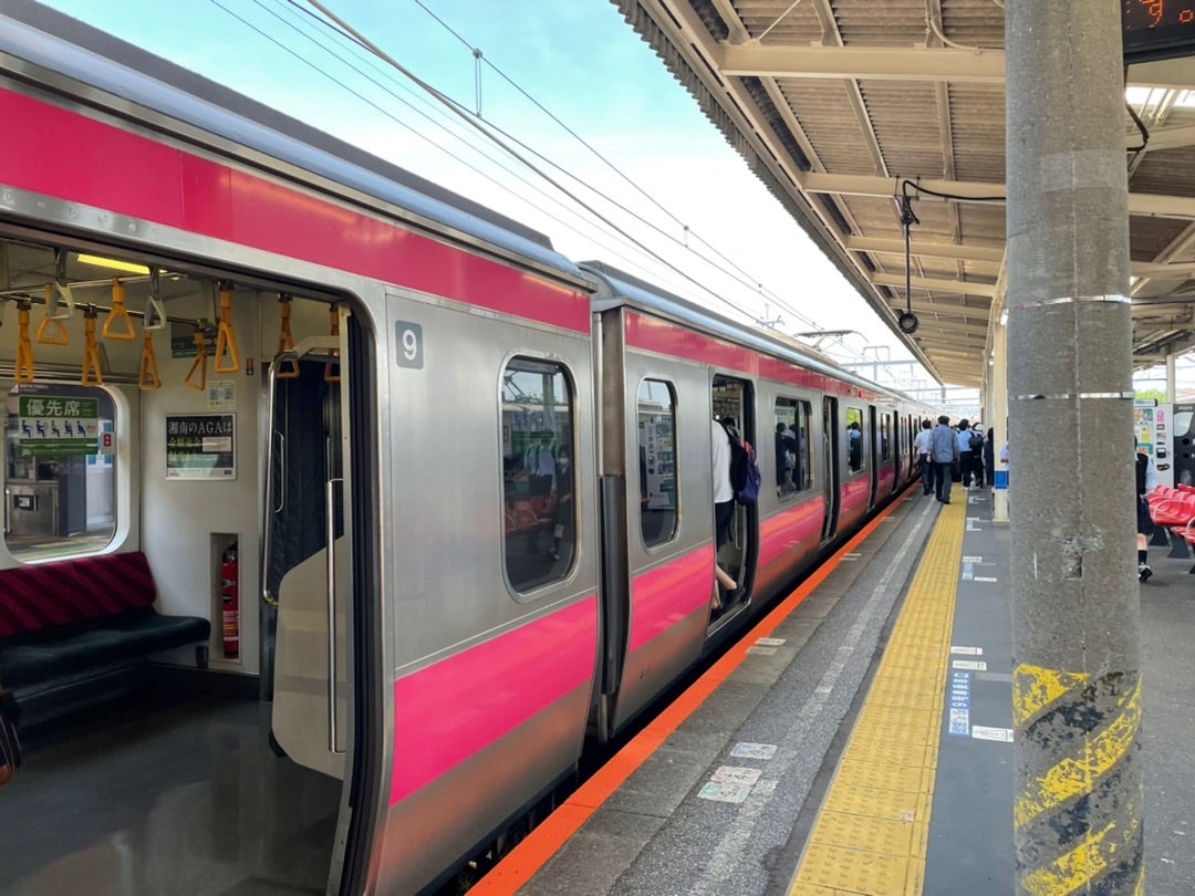 快速が少ない」「柔軟対応に感謝」 京葉線ダイヤ再改正後初の平日 利用者の受け止めさまざま千葉日報オンライン