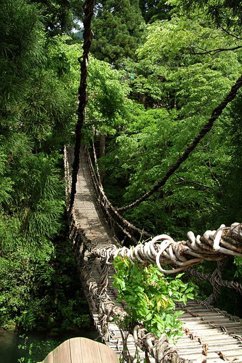 かずら橋 福井県池田町by WANPEACEID：12437850- 写真共有サイト:PHOTOHITO