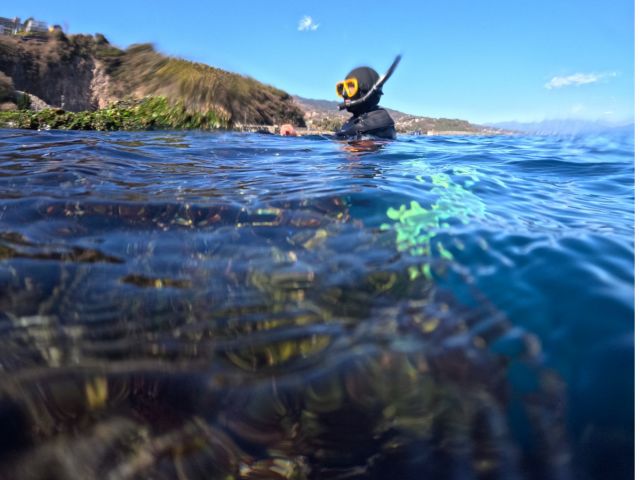神奈川県真鶴町でシュノーケリング教室日記神奈川県小田原市のスキューバダイビングスクールならドルフィンアイズ初心者や泳げない人でもダイビングを趣味にできるようになります