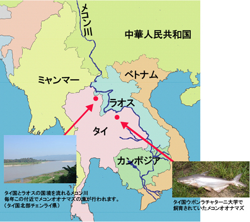 東南アジアの主要な地形 半島・島・河川大学受験の世界史のフォーラム ― 東大・一橋・外語大・早慶など大学入試の世界史のために ―